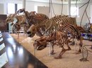 DSCN1161.jpg
